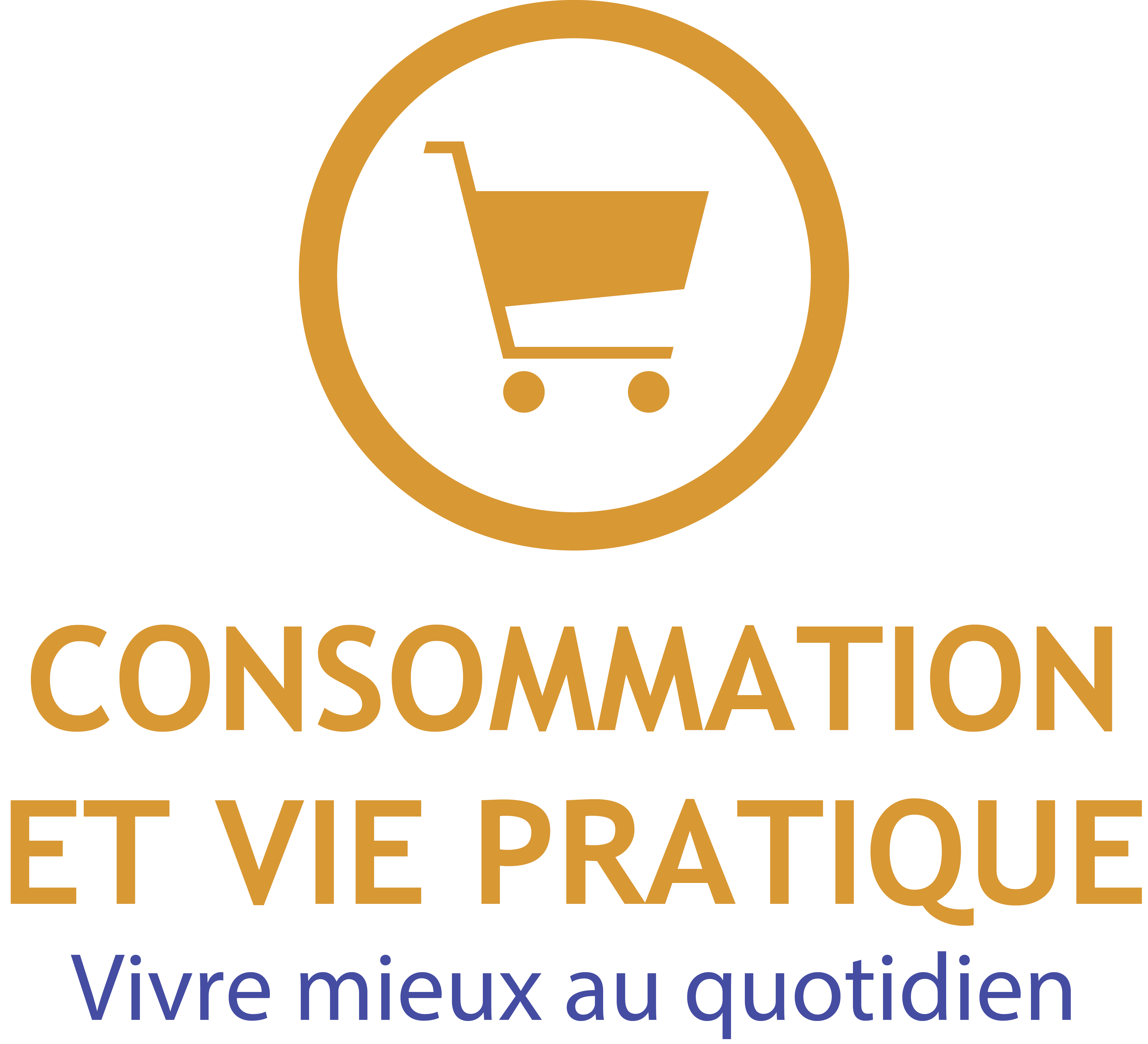consommation_vie_pratique.png